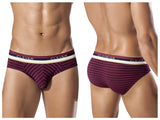 Forbidden Desire Latin Brief